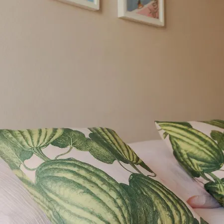 Cosy Apartment